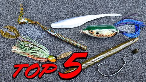 bait fish|TOP 5 Baits For POND FISHING And BANK FISHING (And How To Fish .
